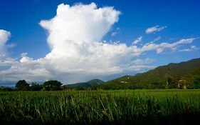 Blue Sky Resort Pai
